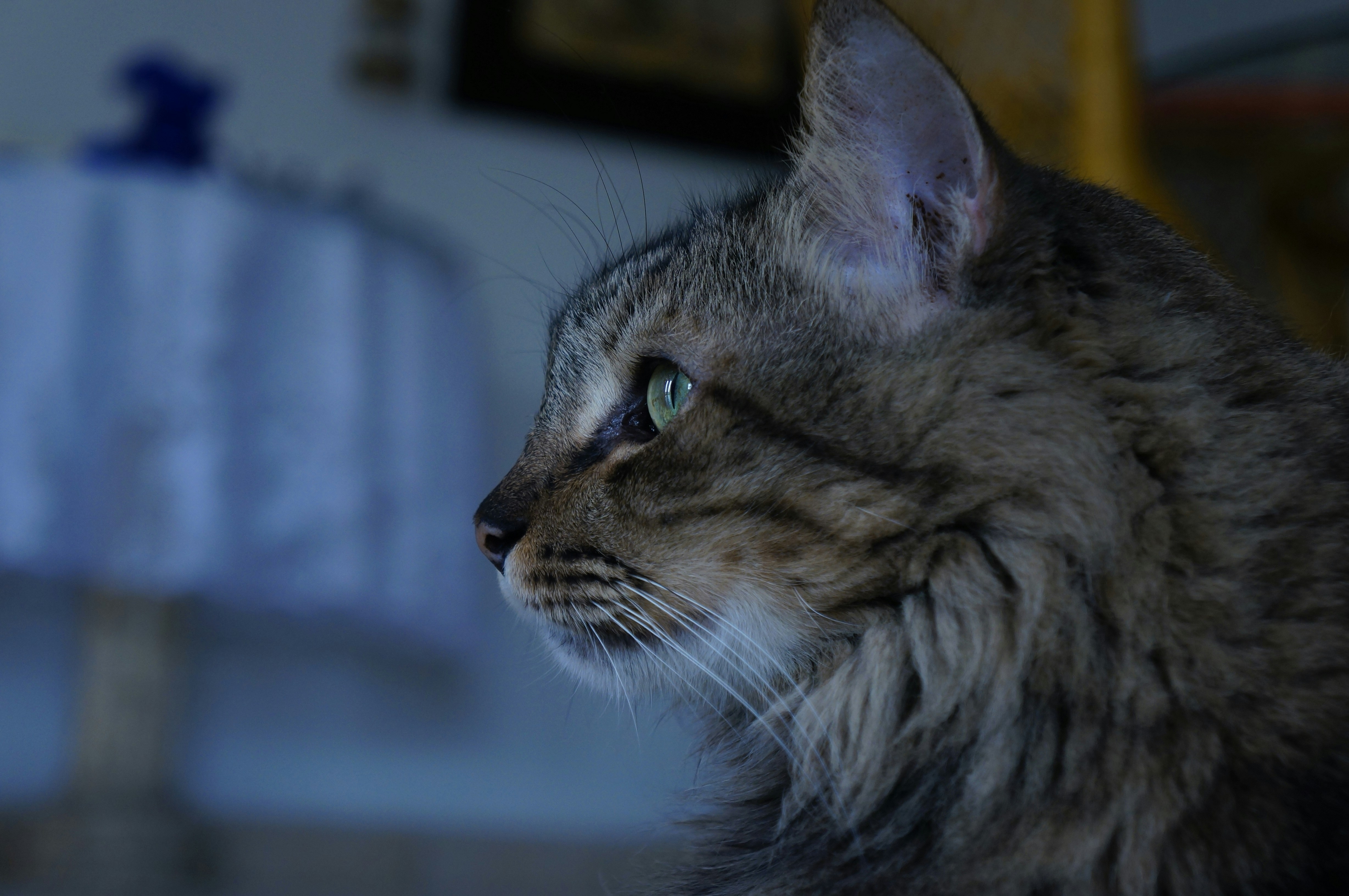 Photo by andresloquesea