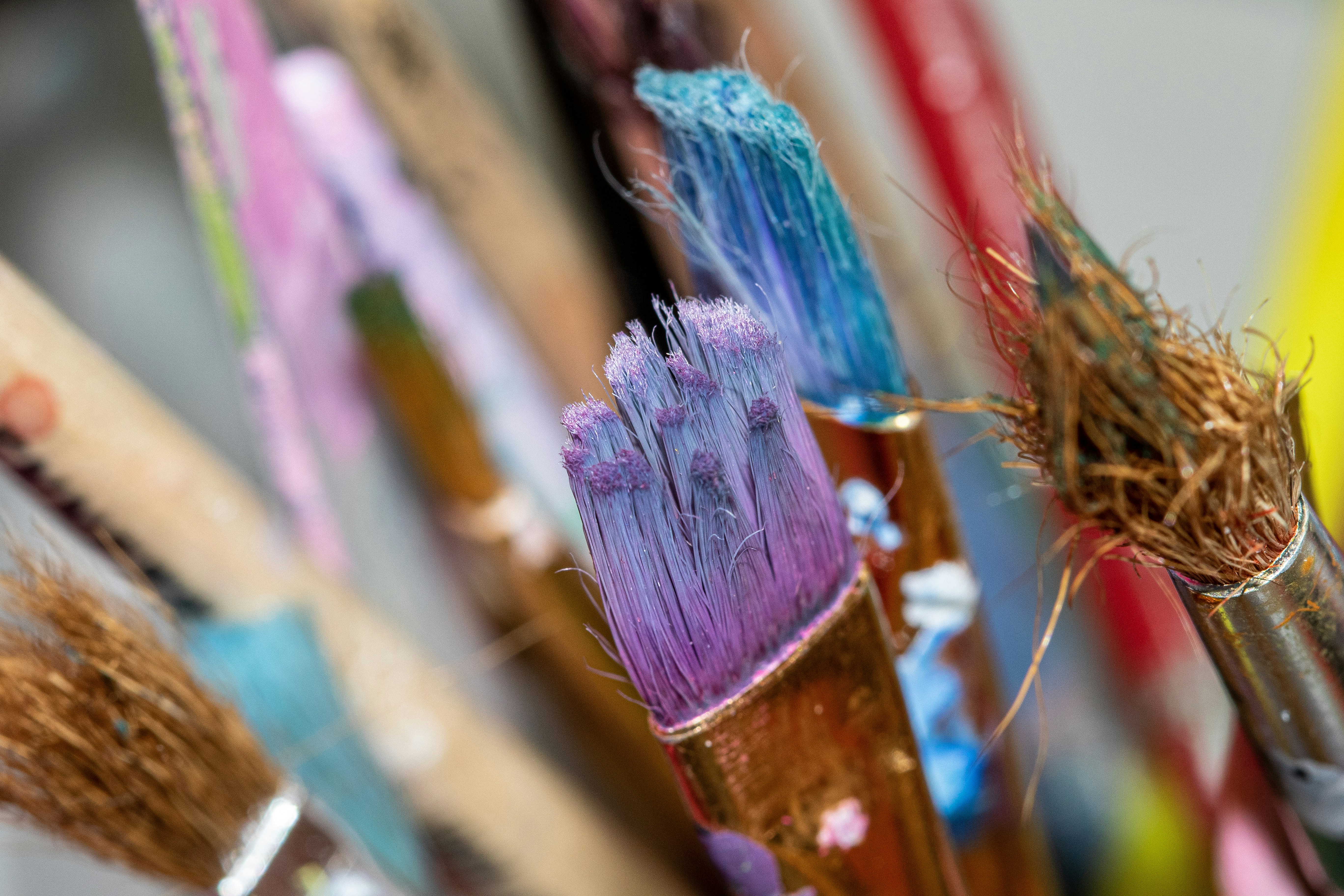 Photo by photo_tanbir