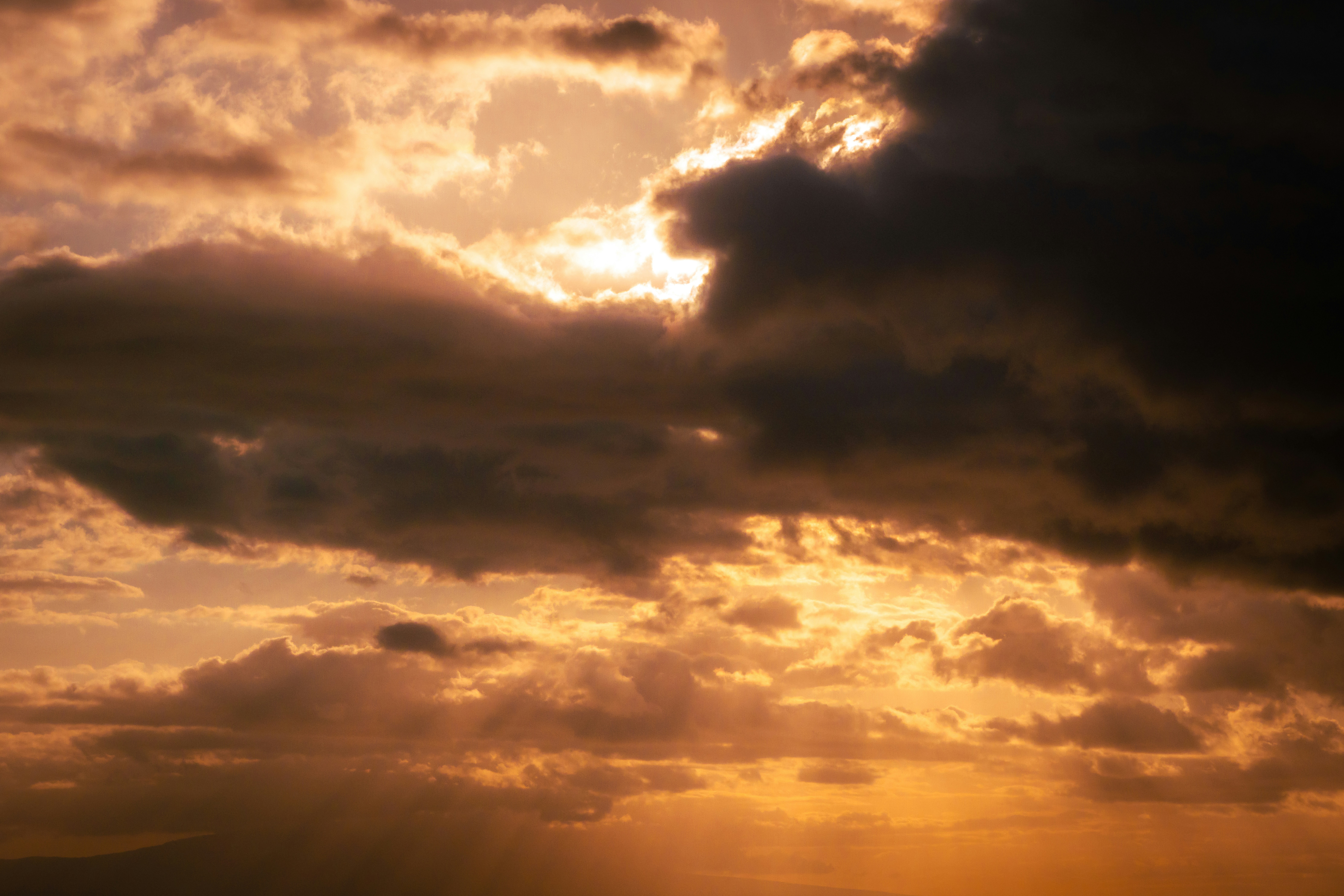 Photo by kalaniparker