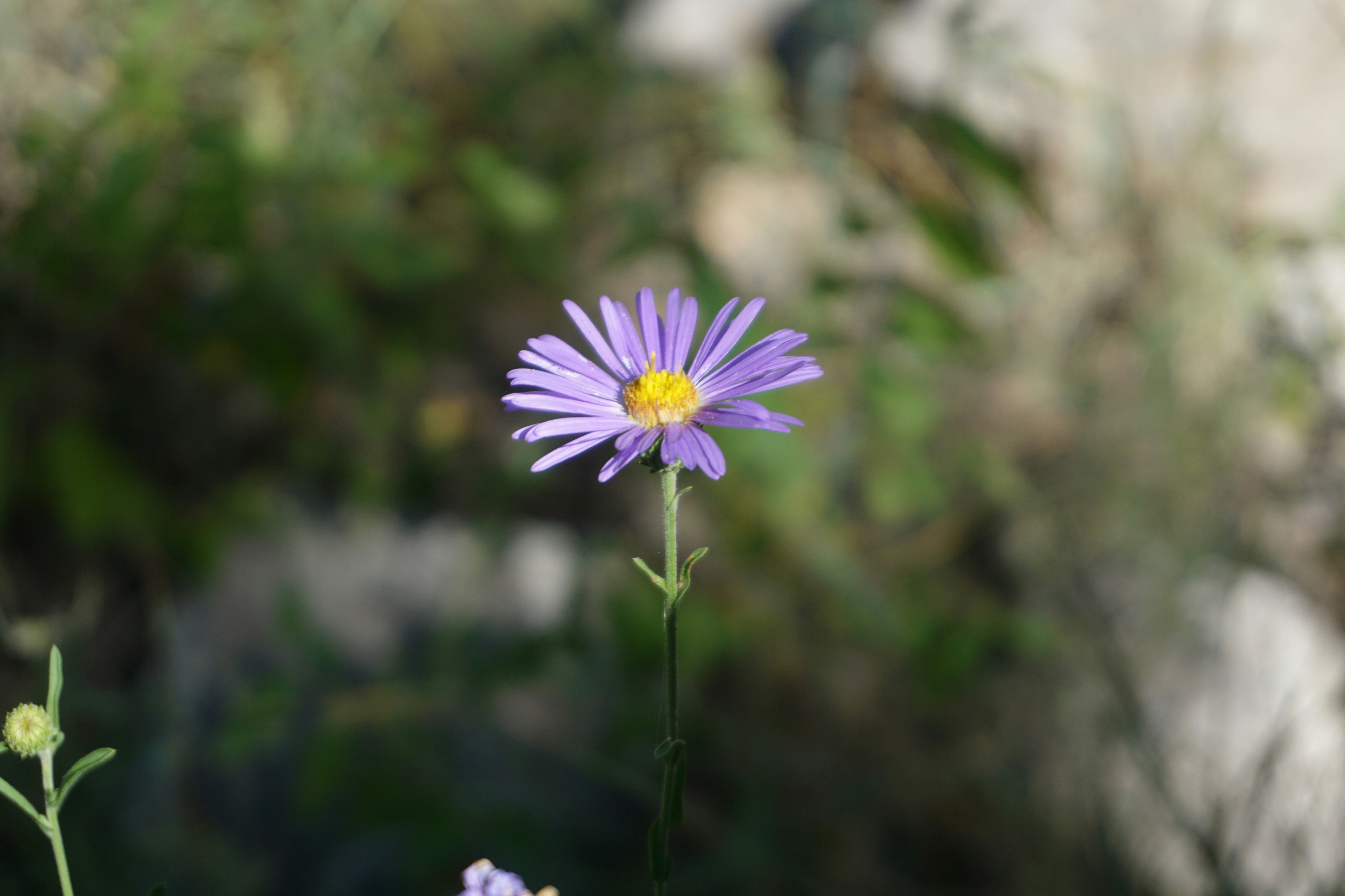 Photo by structure3creative