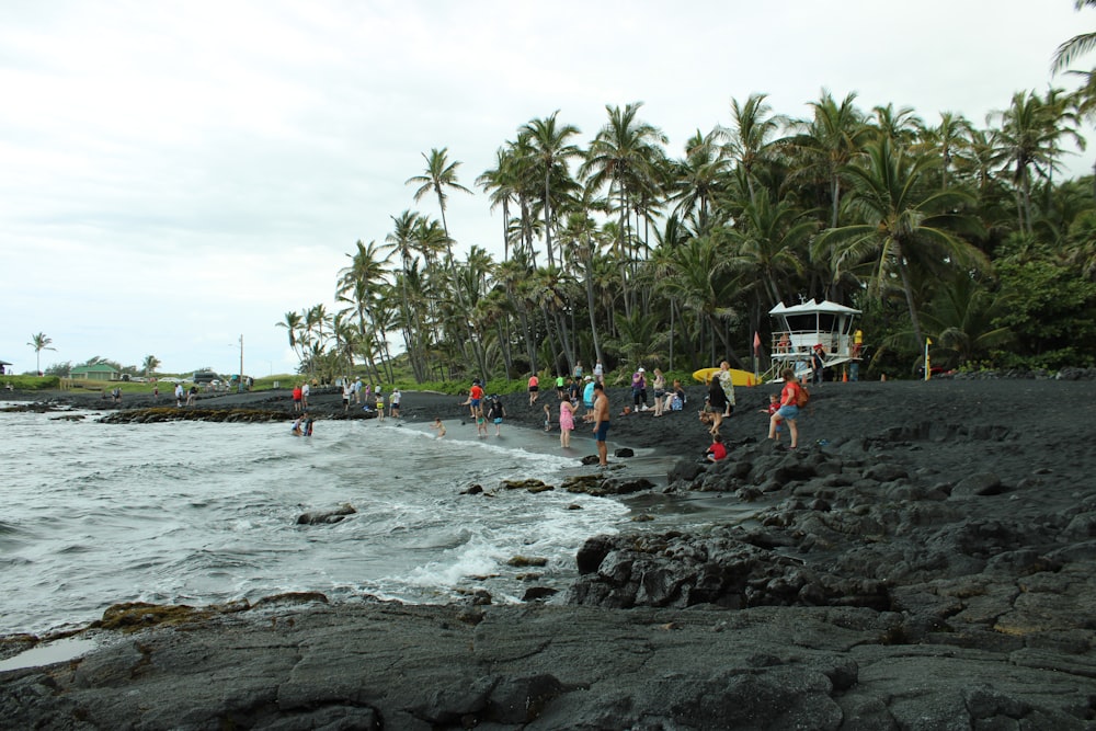 a group of people standing on top of a beach next to the ocean