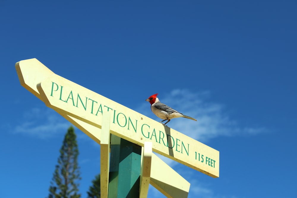 a bird sitting on a sign that says plantation garden