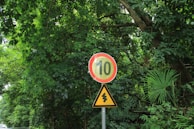 A speed limit sign indicating 10 kilometers per hour is displayed above a triangular caution sign with a lightning bolt symbol. The signs are surrounded by dense green foliage and trees.