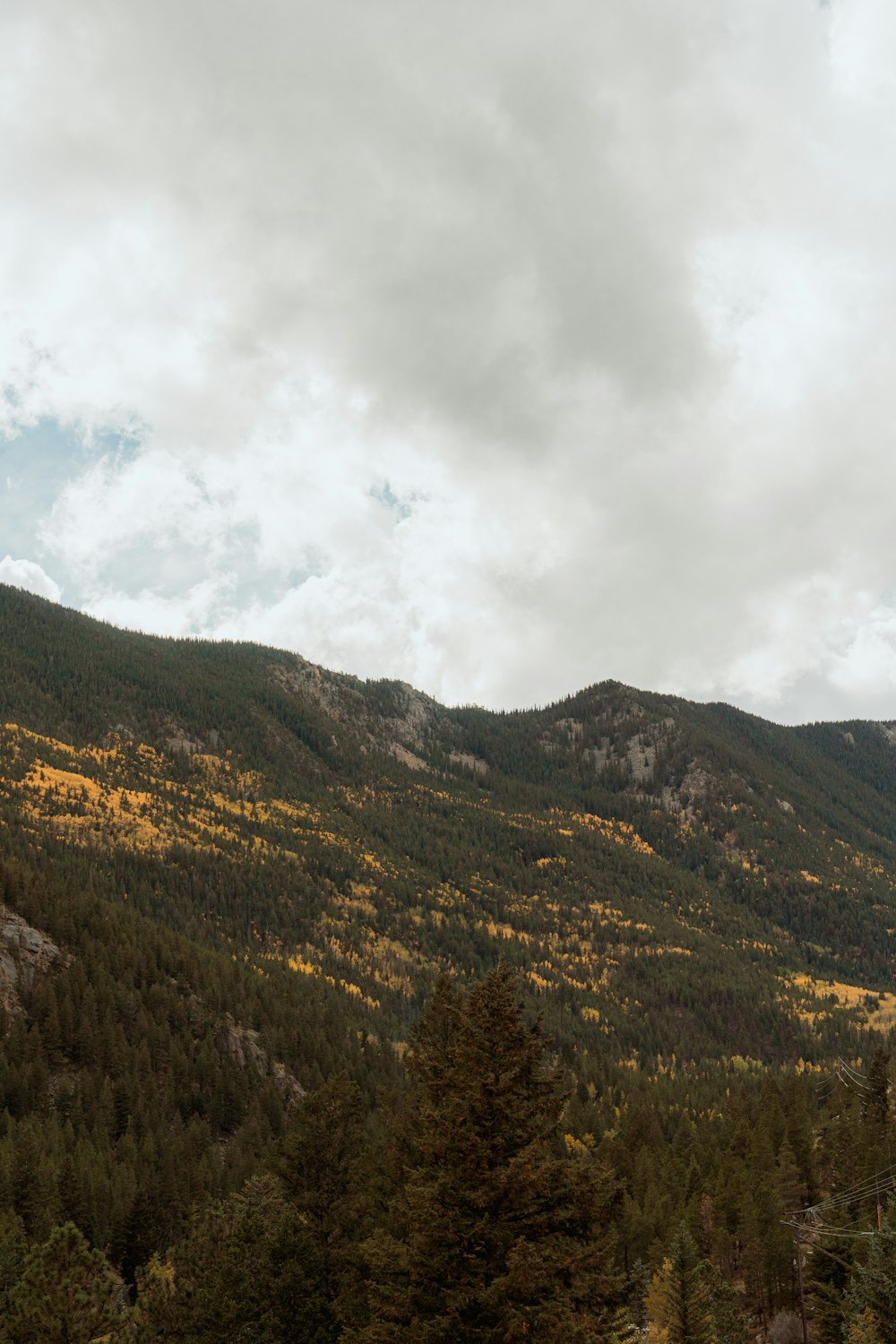 a view of a mountain with trees in the foreground