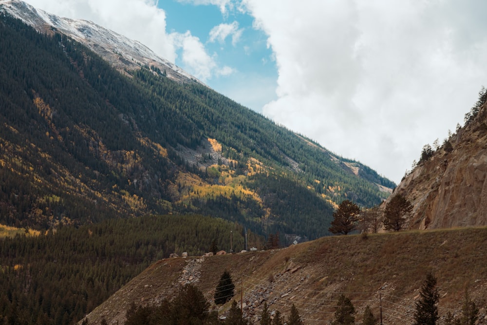 a scenic view of a mountain range with trees in the foreground