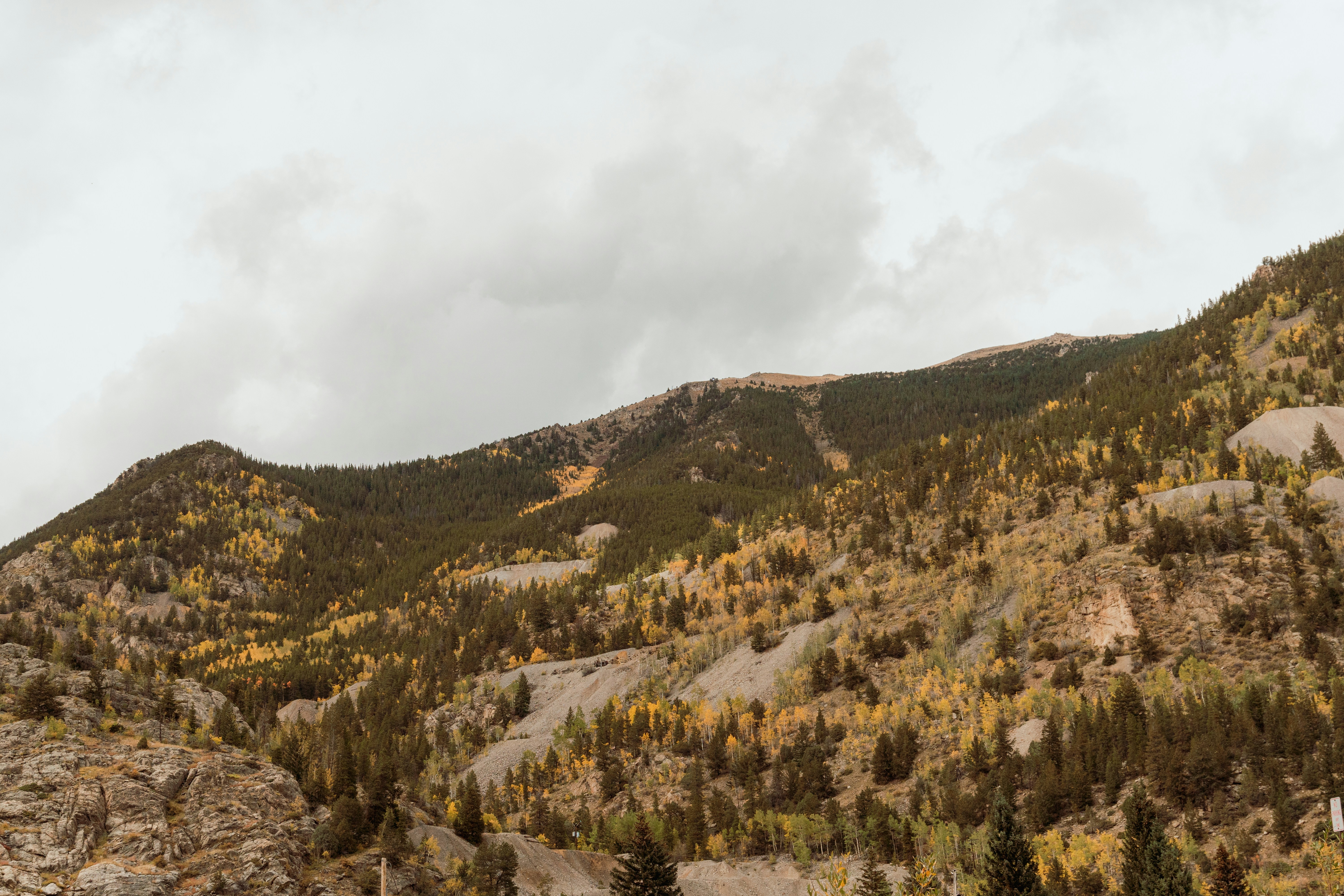 a view of a mountain with trees in the foreground, 