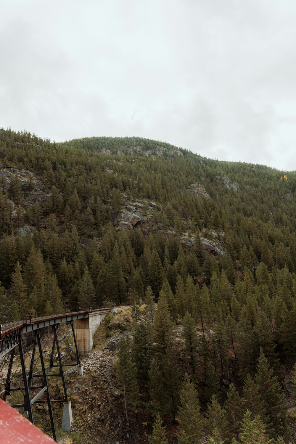 a train traveling over a bridge next to a forest