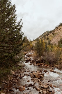 A tranquil mountain stream flowing past a rustic retreat surrounded by autumnal trees.