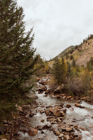 A tranquil mountain stream flowing past a rustic retreat surrounded by autumnal trees.
