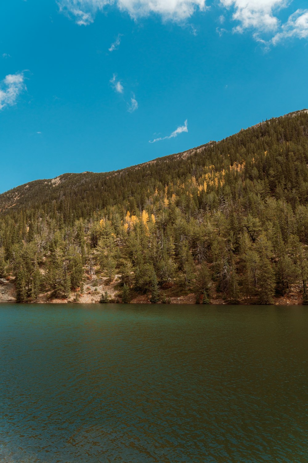 a lake surrounded by a forest under a blue sky