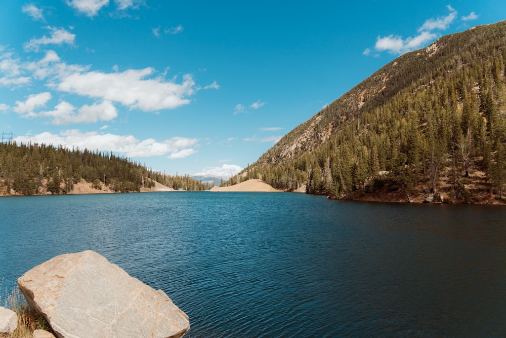 a large body of water surrounded by a forest