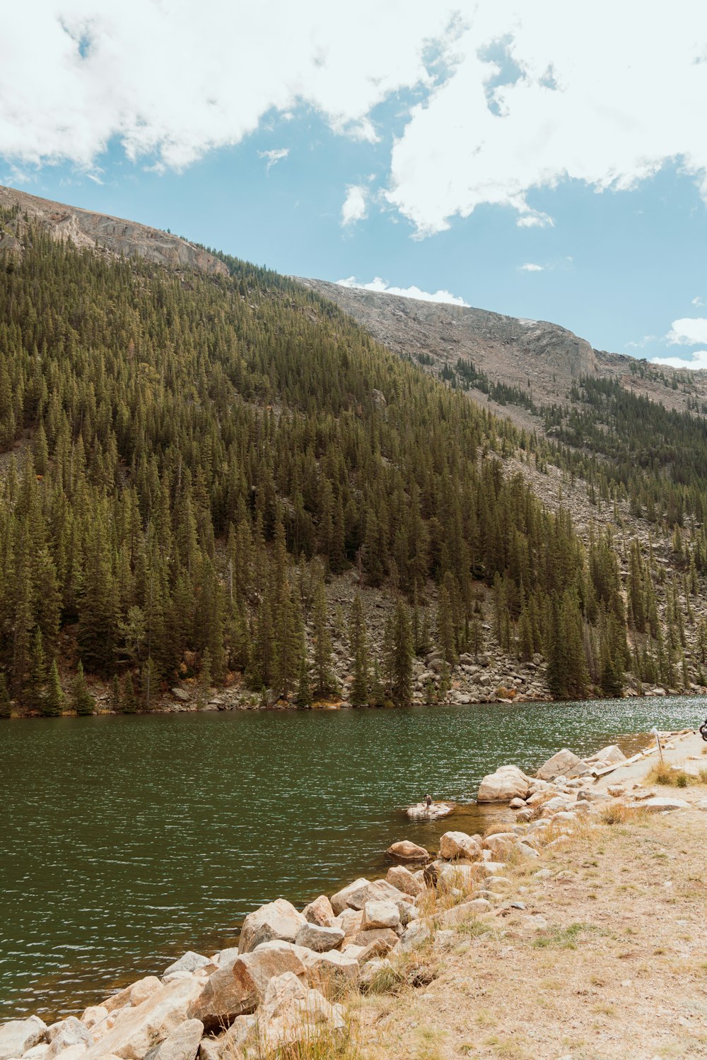 a man riding a horse next to a lake