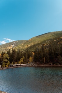 A serene landscape shot capturing the woody surroundings and distant skyline near Banasura Sagar Dam.