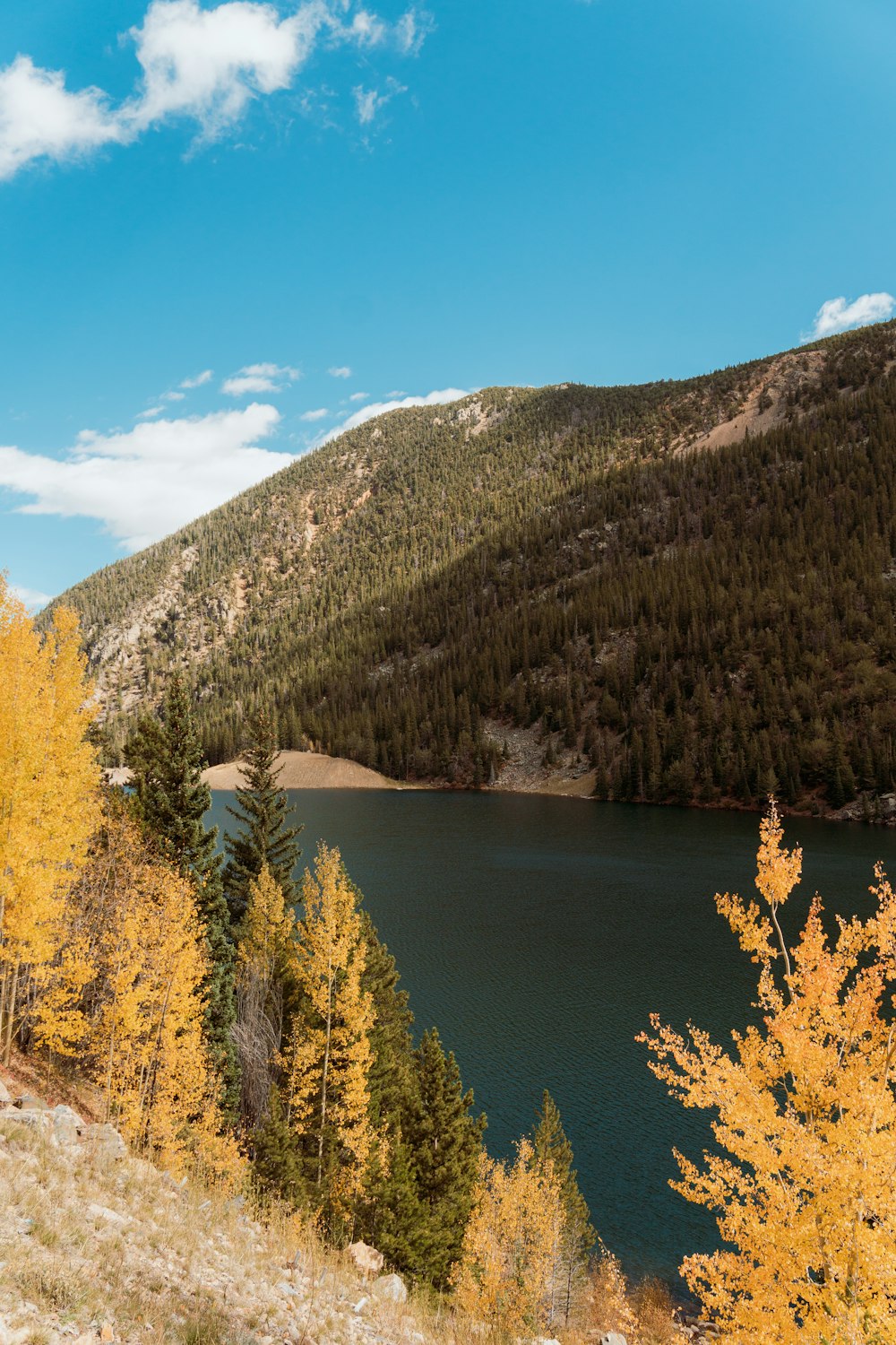 a large body of water surrounded by trees