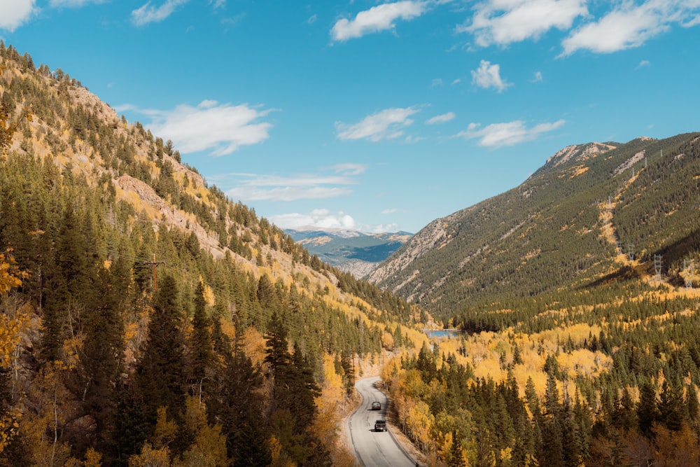 a car driving down a road surrounded by trees