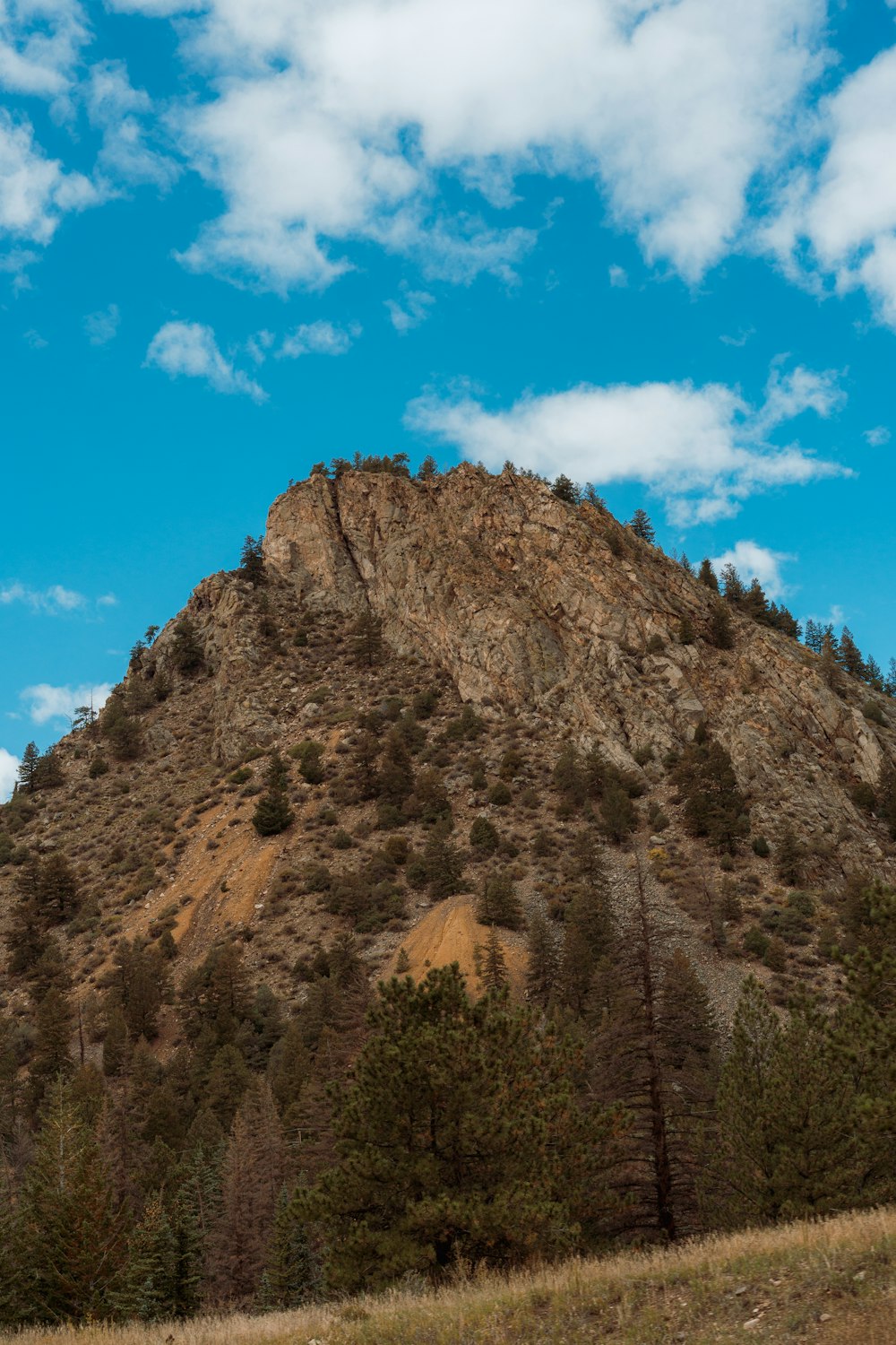 a large mountain with trees on the side of it