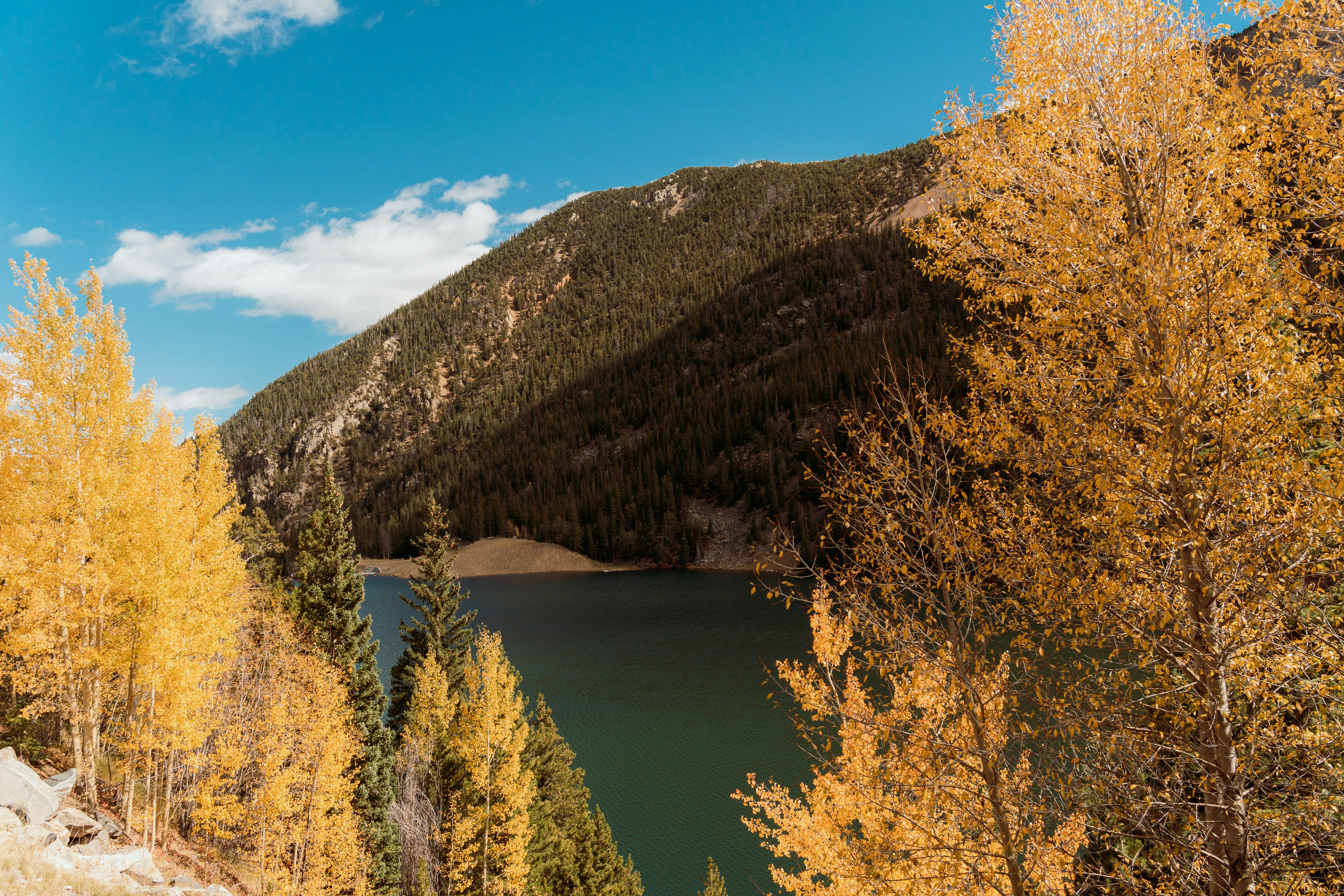 a lake surrounded by trees with a mountain in the background