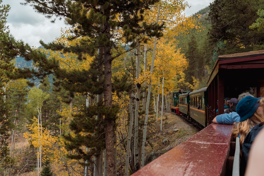 a train traveling through a forest filled with trees