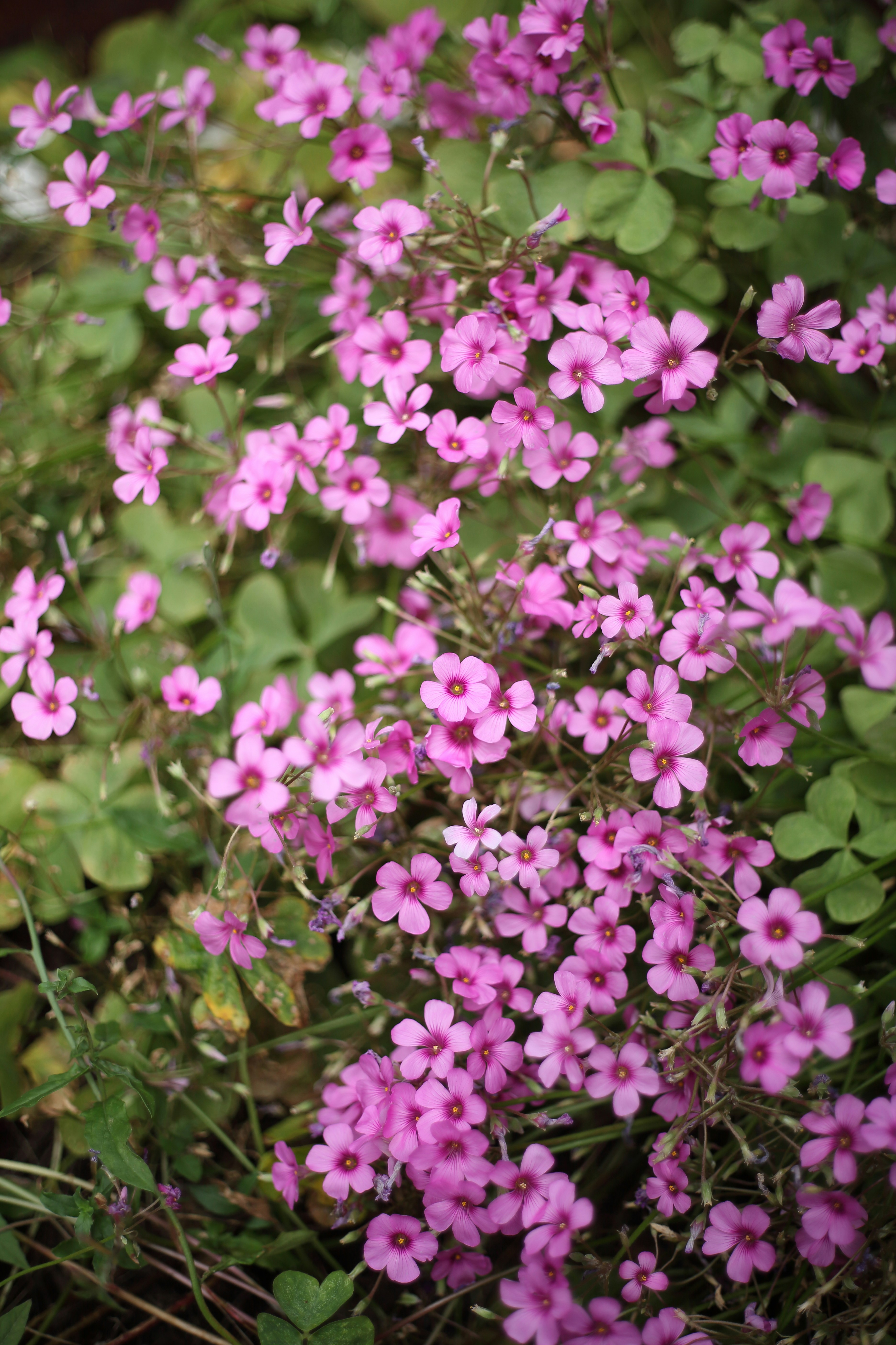 Photo by takatsuchida