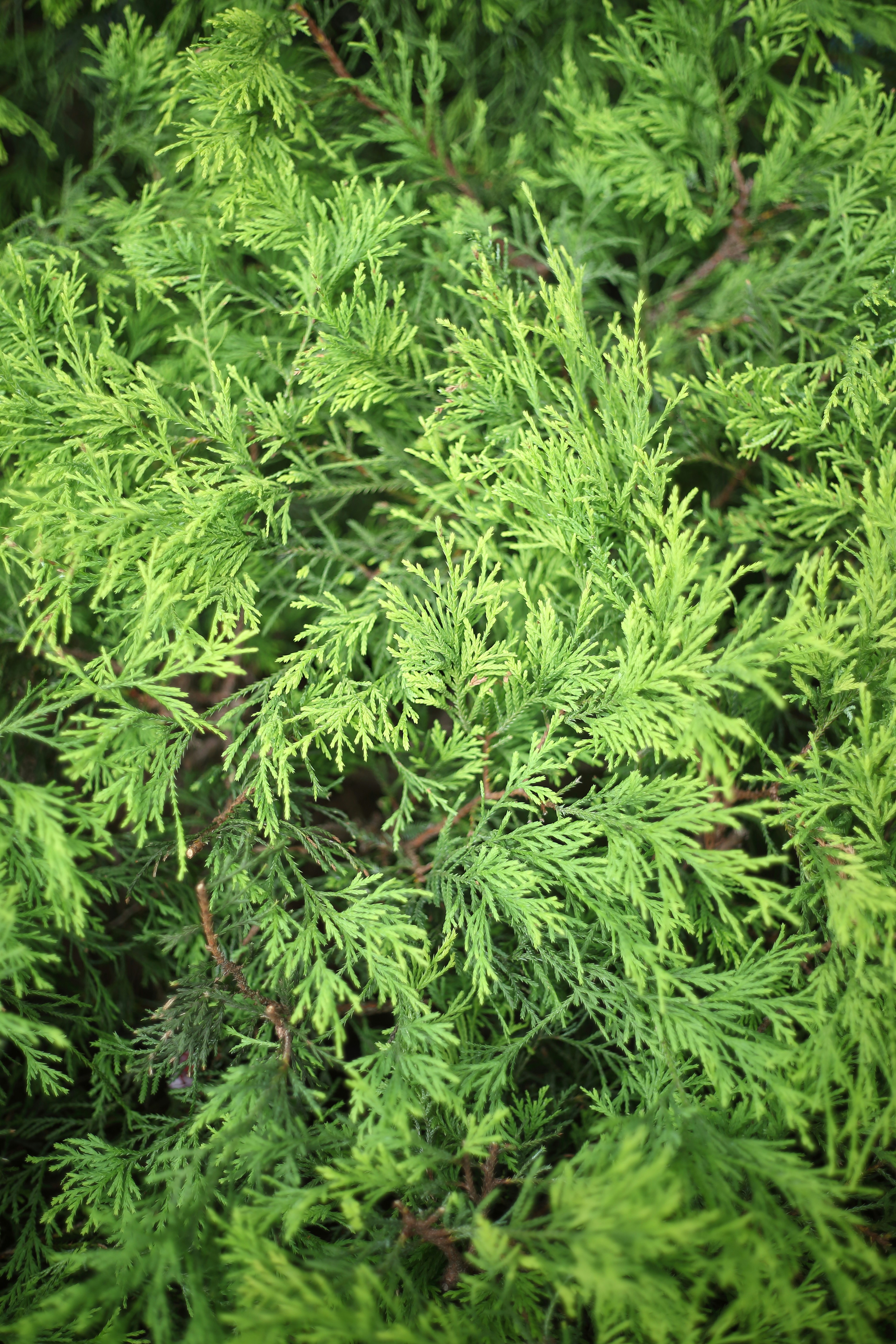 Photo by takatsuchida