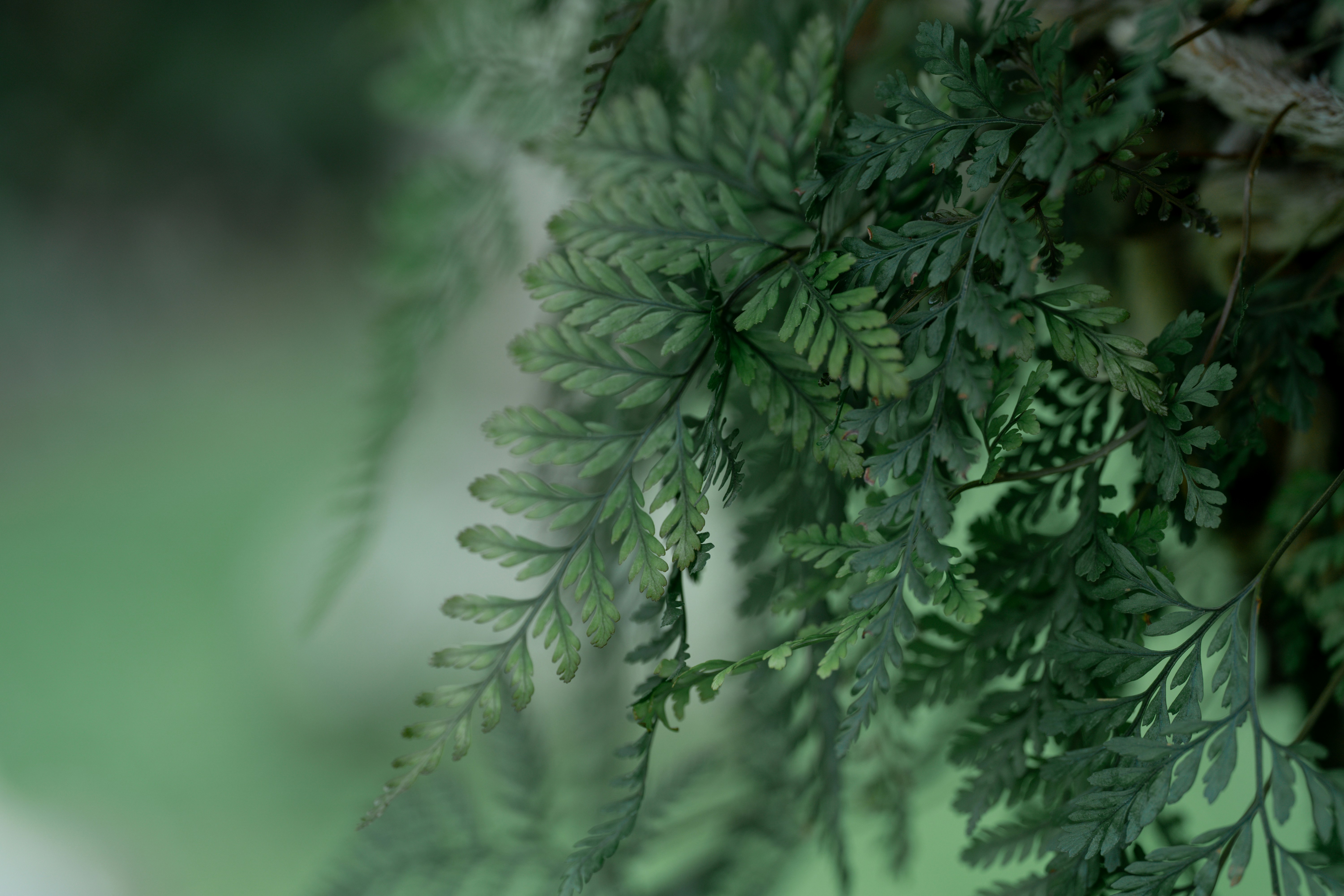 Photo by msz010dzeta