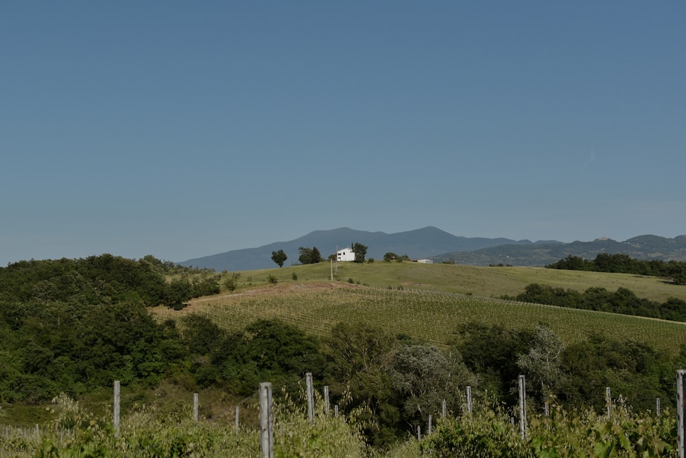 a hill with a house on top of it