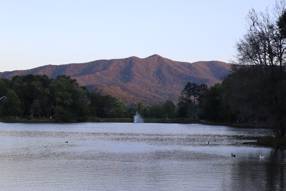 a body of water surrounded by trees and mountains