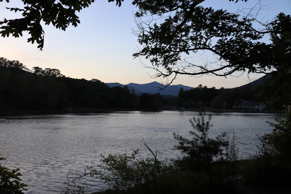 a body of water surrounded by trees and mountains