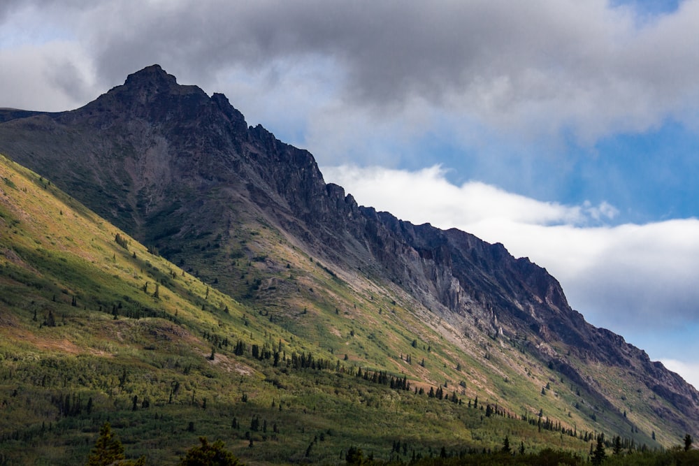 a large mountain with a forest below it