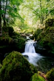 A serene, lush green forest scene with a small waterfall cascading over moss-covered rocks. Sunlight filters through the dense canopy of vibrant trees, illuminating the gentle flow of water and creating a peaceful atmosphere.