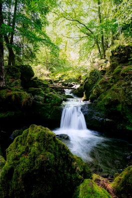 A serene, lush green forest scene with a small waterfall cascading over moss-covered rocks. Sunlight filters through the dense canopy of vibrant trees, illuminating the gentle flow of water and creating a peaceful atmosphere.