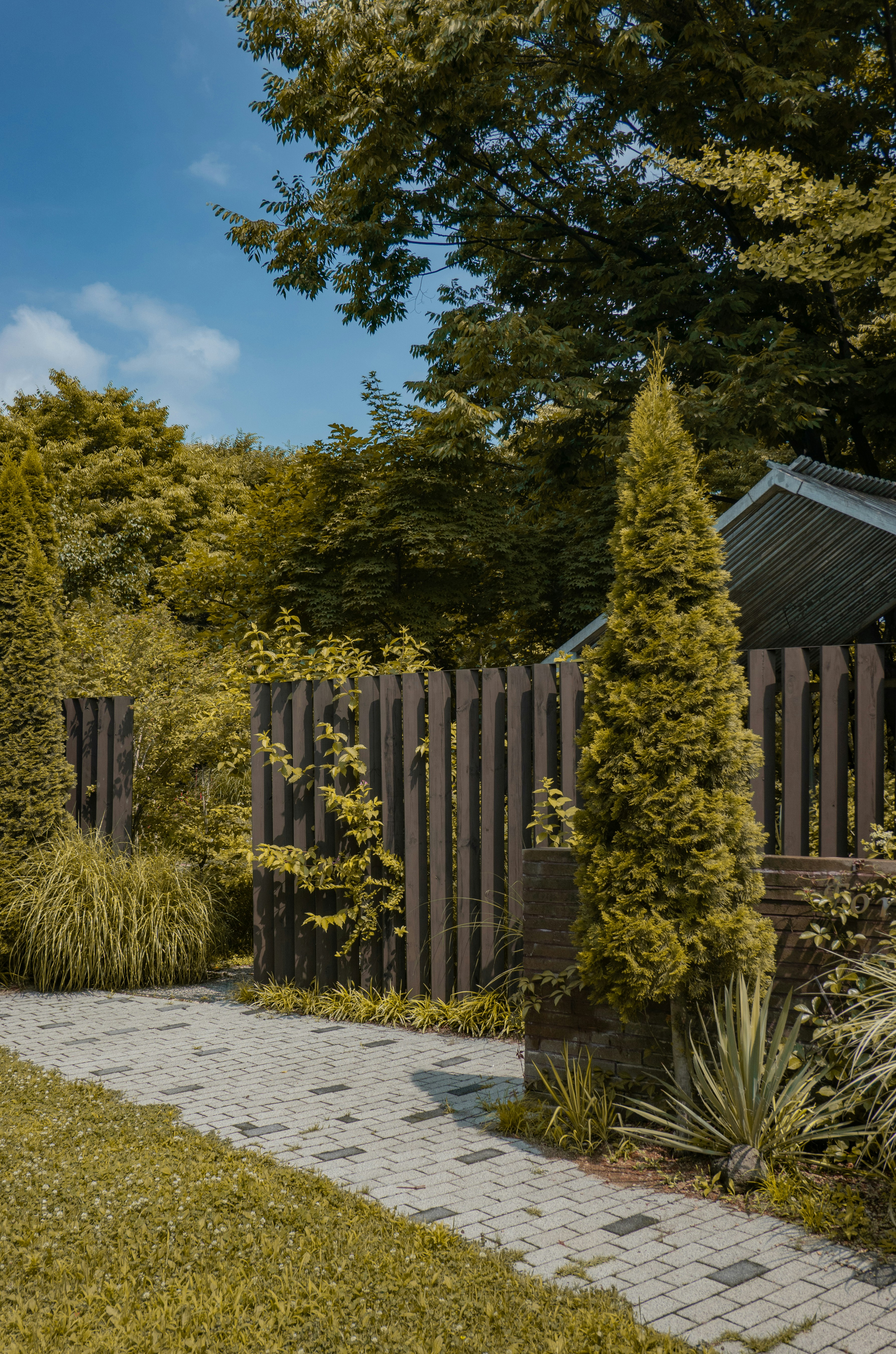 Illustration of privacy-enhancing elements like trellises and plants in a backyard