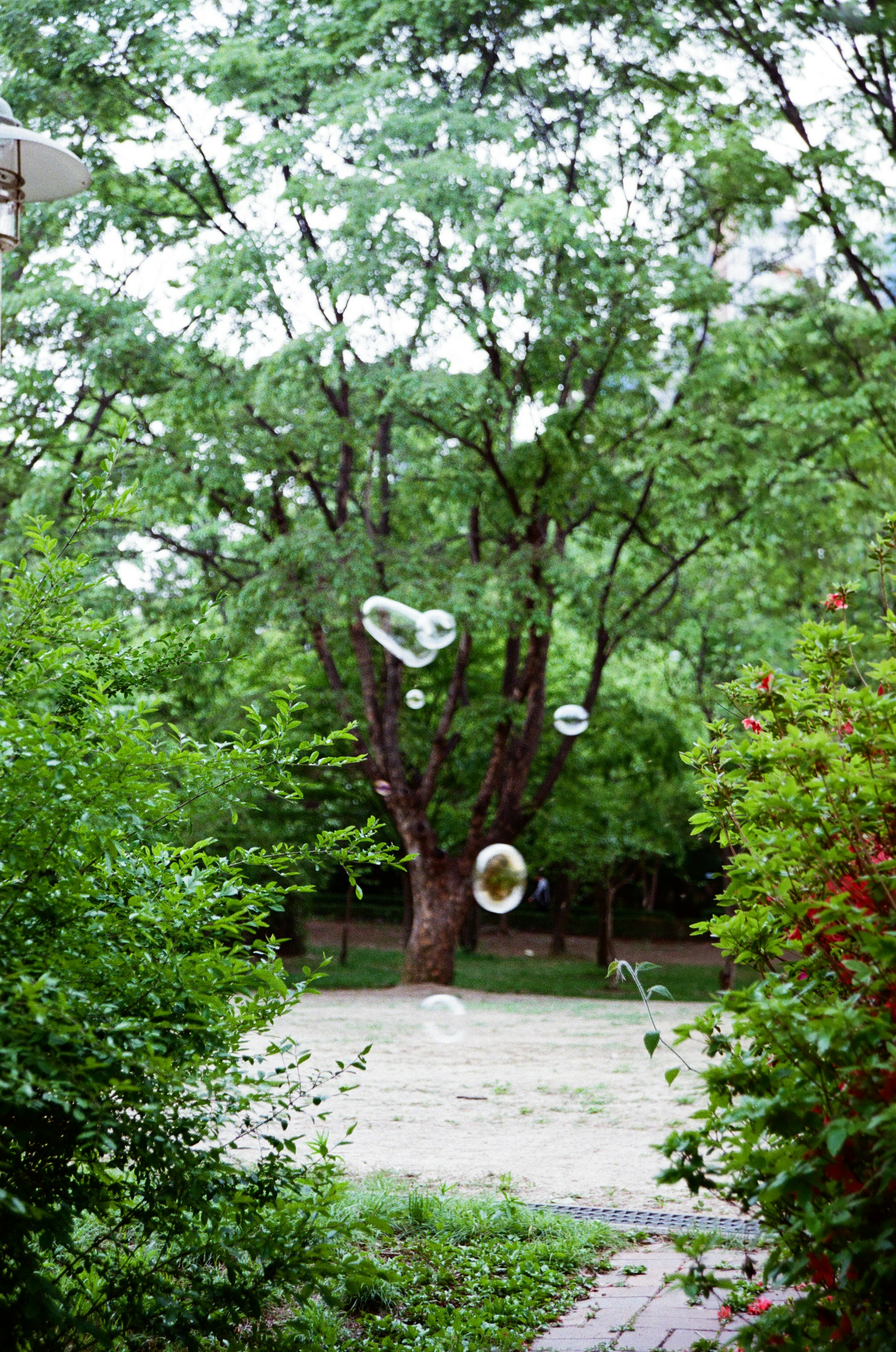 a couple of white bubbles floating in the air