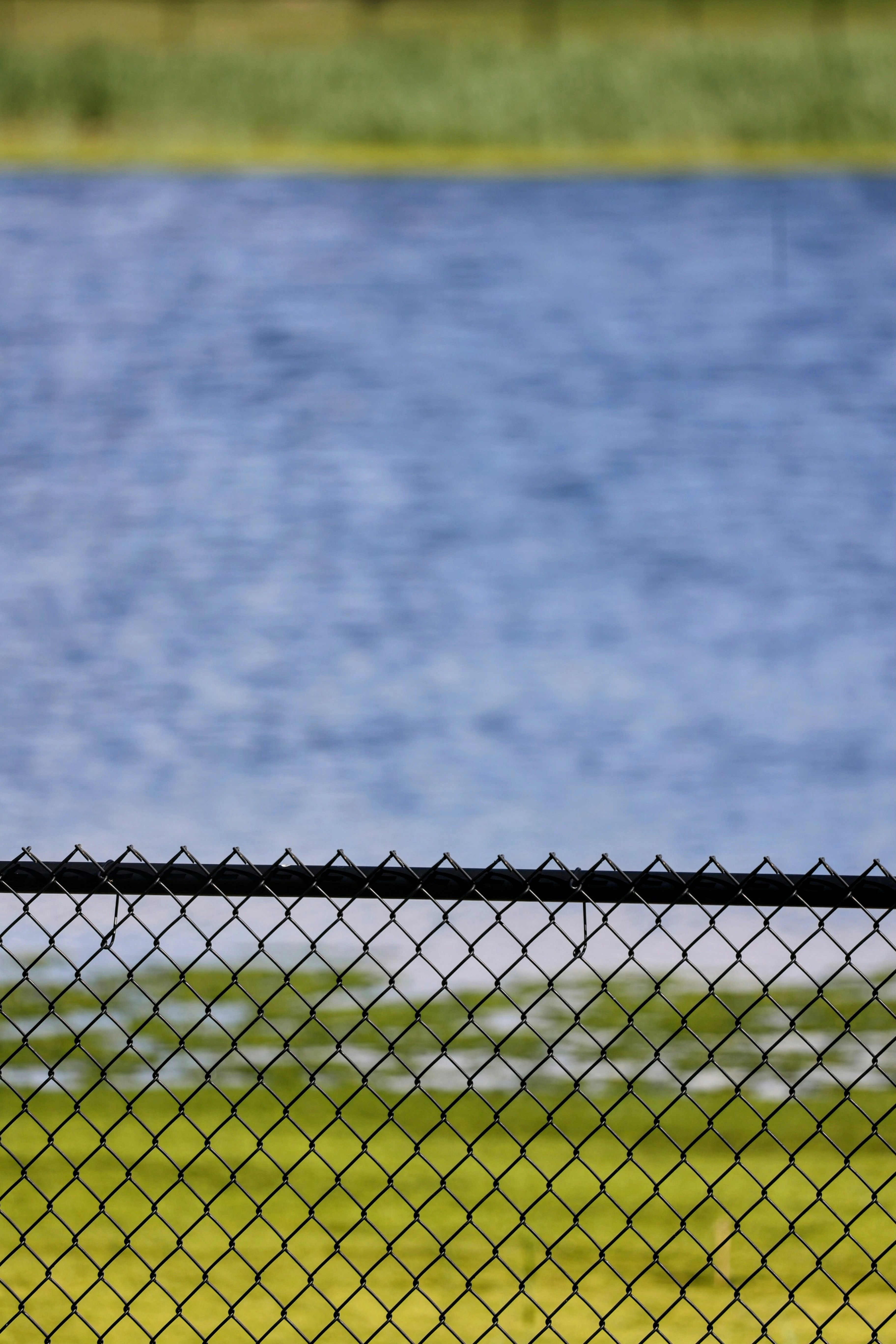 a bird sitting on a fence next to a body of water