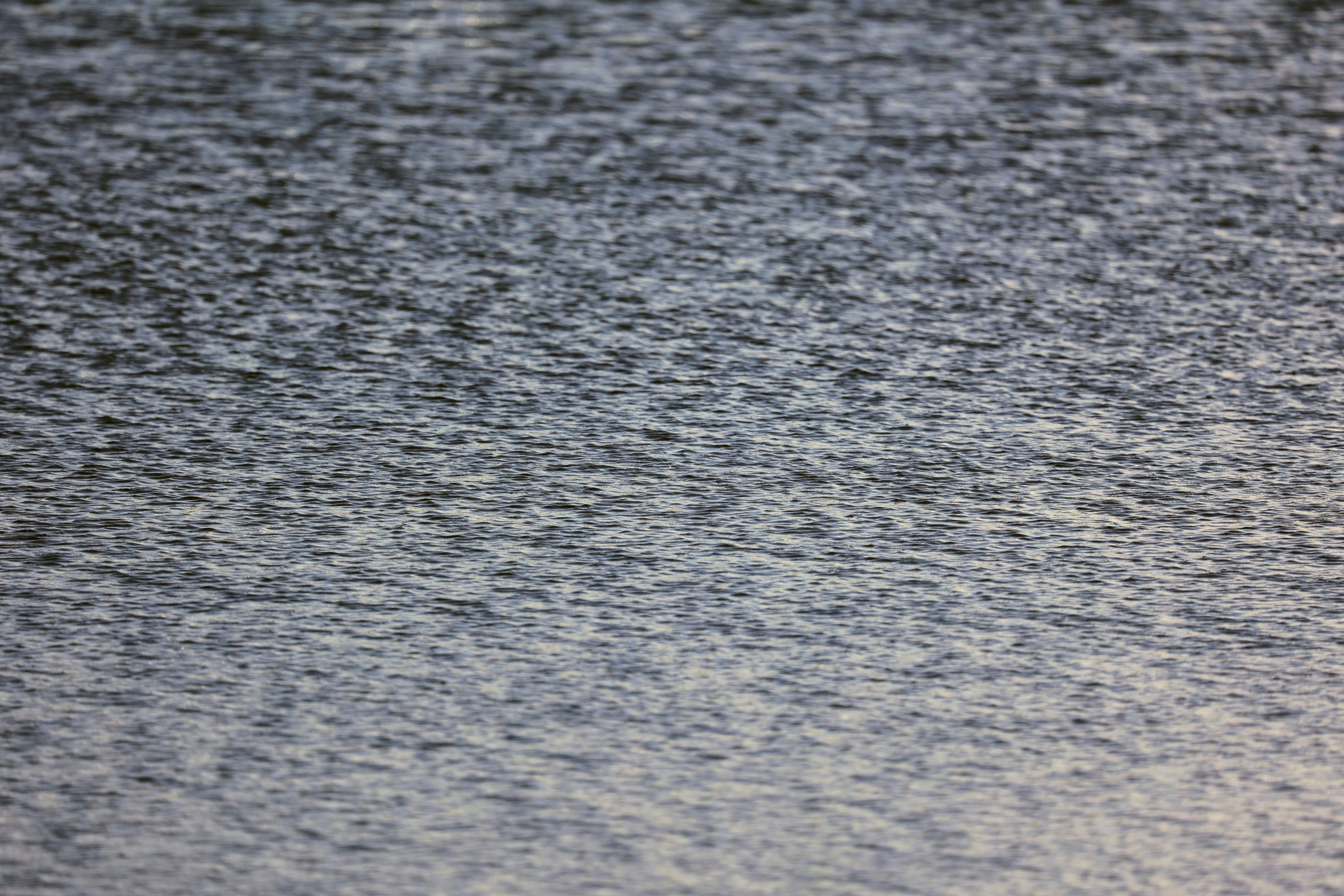 Photo by joshua_hoehne