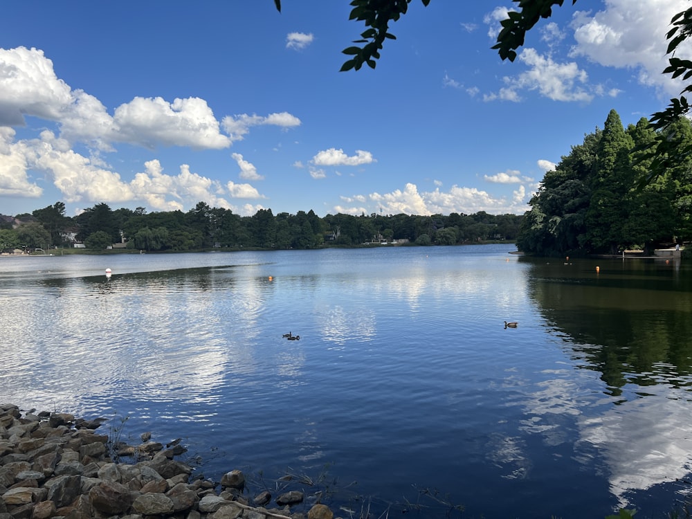 a body of water surrounded by trees and rocks