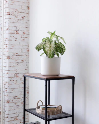 Practical metal end table styled with a small plant and coffee cup on top.