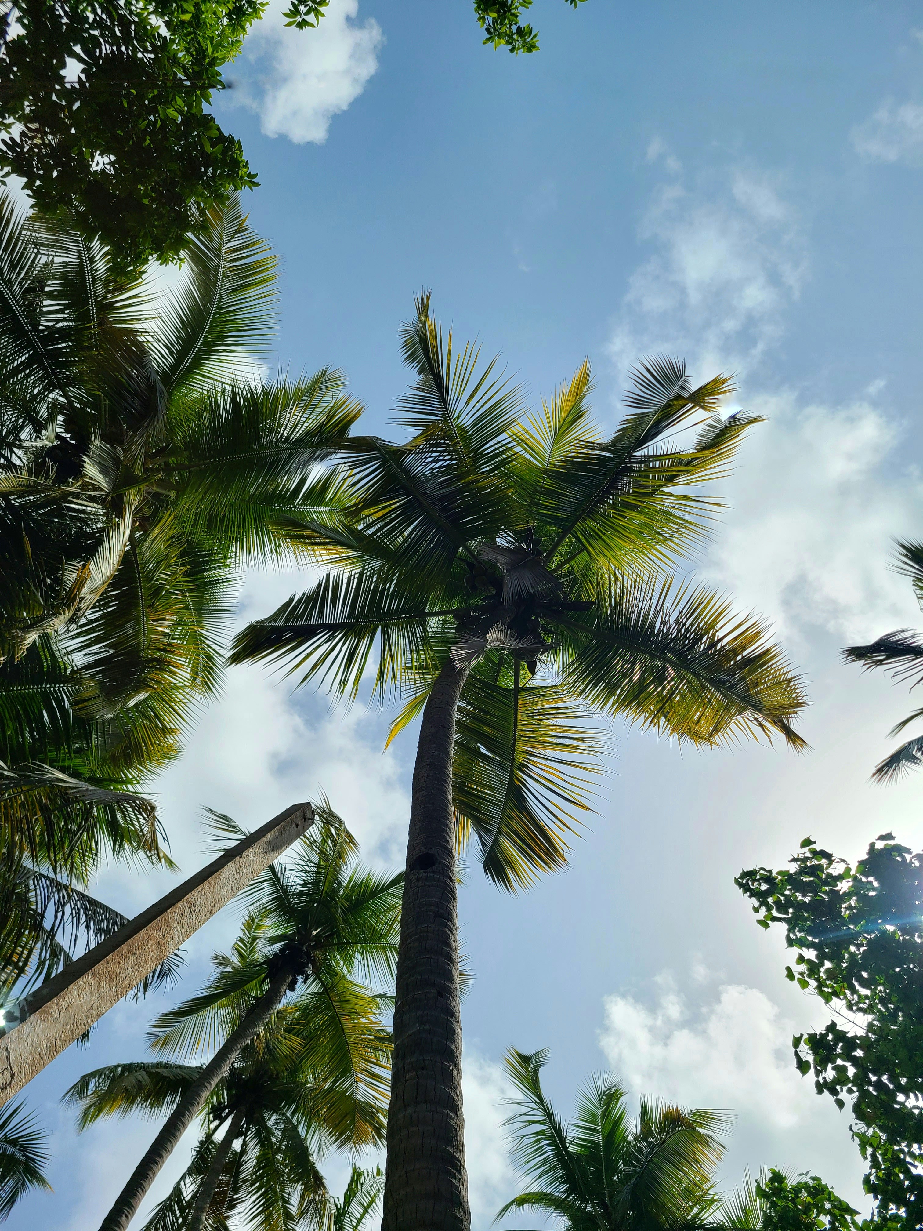 Photo by nickcardoso