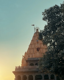 A majestic temple spire with intricate carvings rises into the clear sky, with a sacred symbol adorning its facade. A single flag atop the spire adds a sense of reverence. The warm sunlight bathes the temple in a gentle glow, contrasting with the deep green of the surrounding tree foliage.