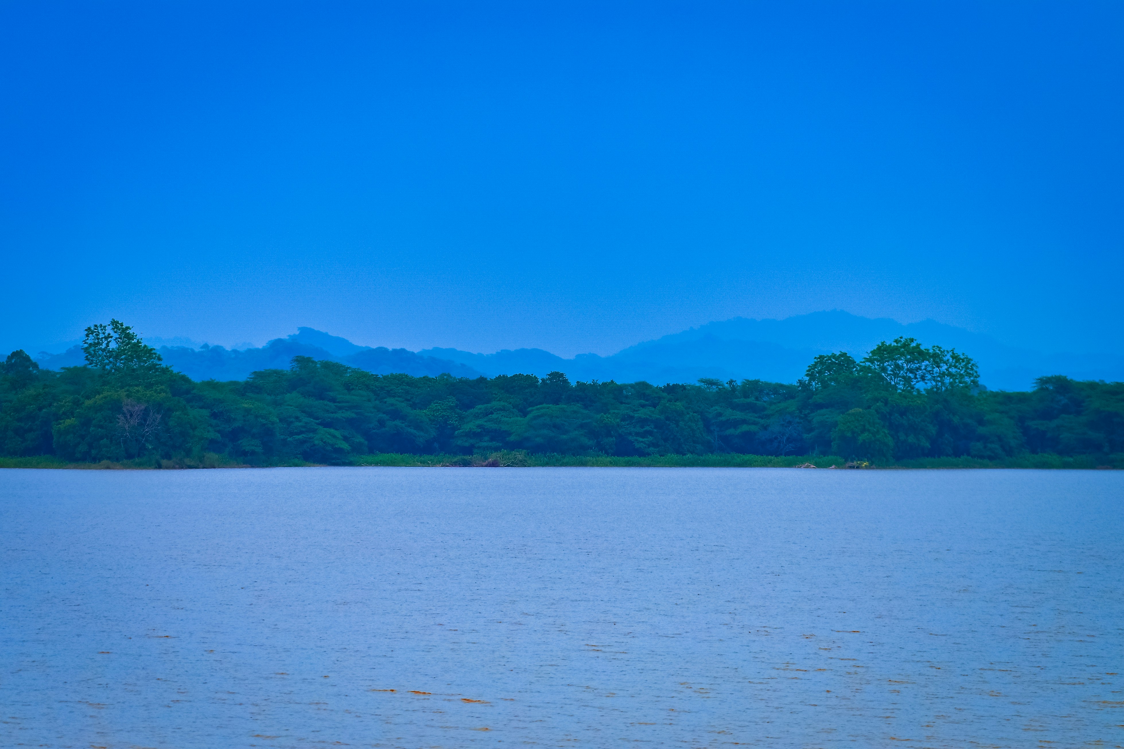 a large body of water with trees in the background