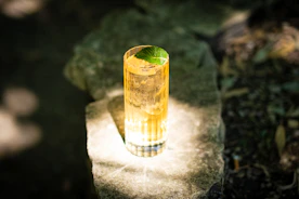 a glass filled with a drink sitting on top of a rock