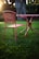 A metal chair with a mesh back and seat is positioned beside a matching round table. The furniture is set on lush green grass. Sunlight filters through trees in the background, creating a warm glow and soft bokeh effect.