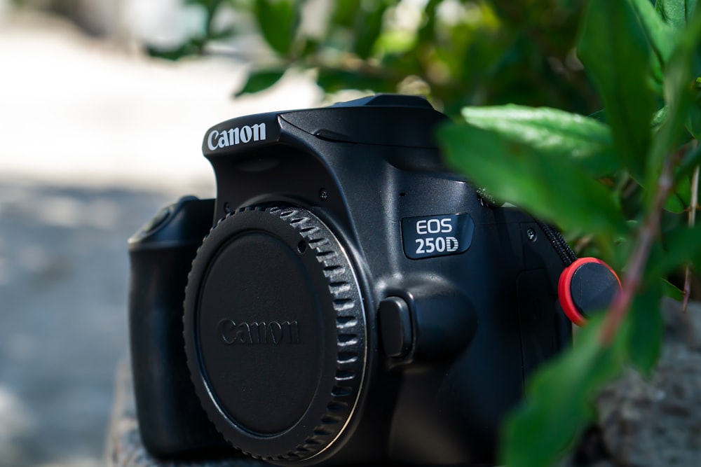 a close up of a camera with a plant in the background