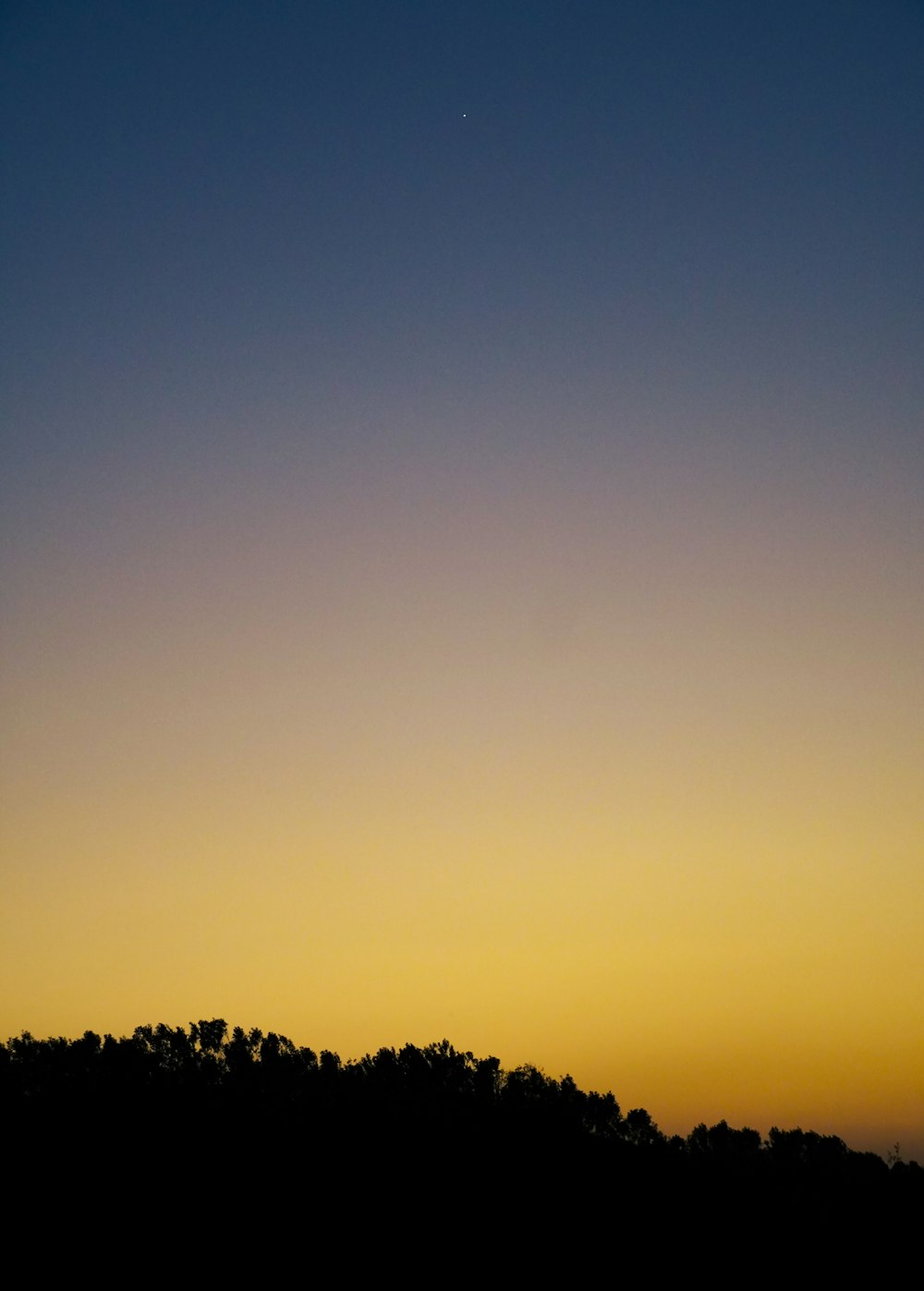 a plane flying in the sky at sunset