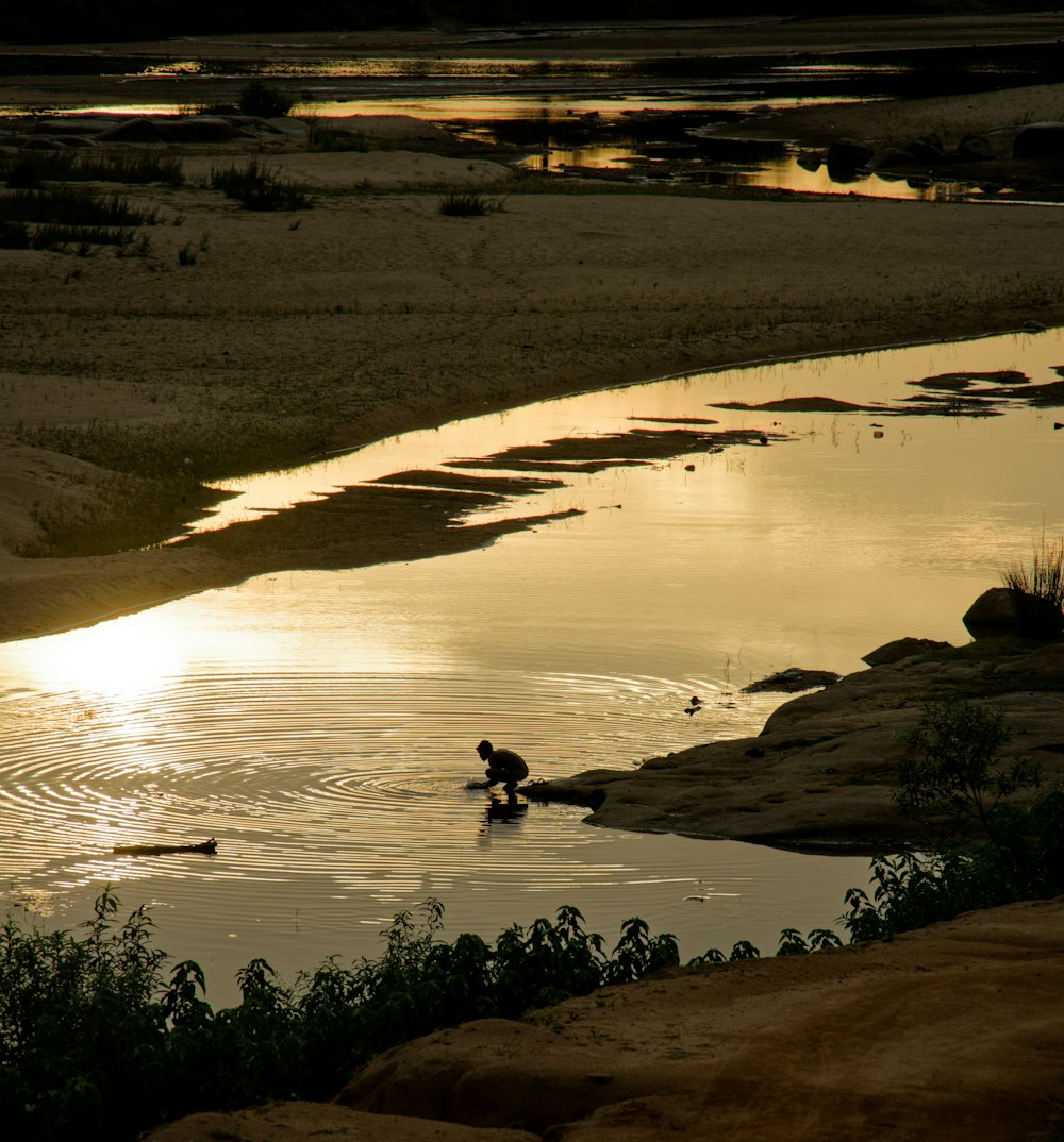 a person in a body of water at sunset