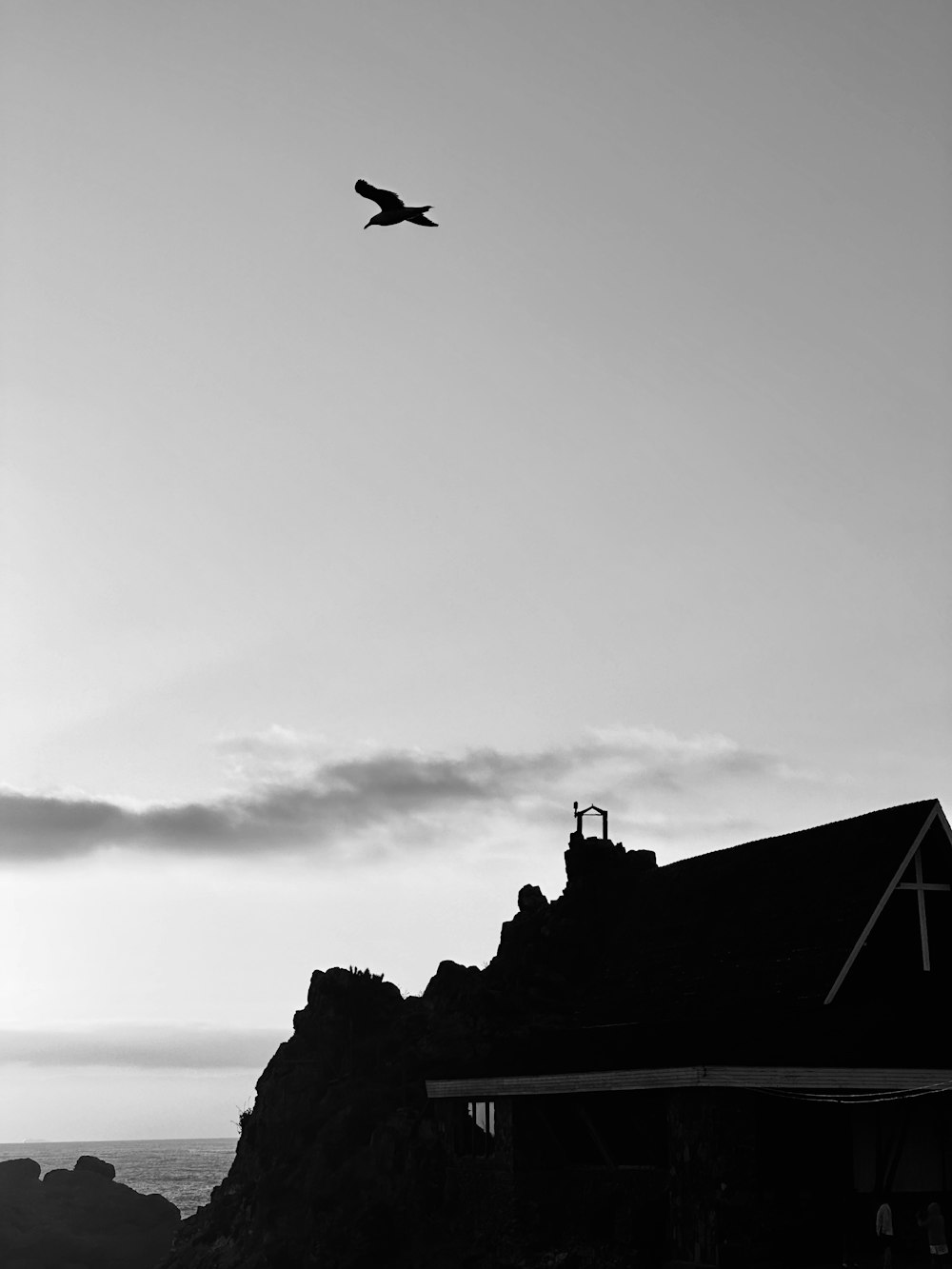 a black and white photo of a bird flying over a house