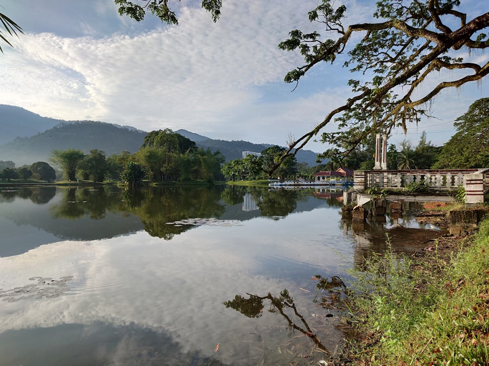 a body of water surrounded by trees and mountains