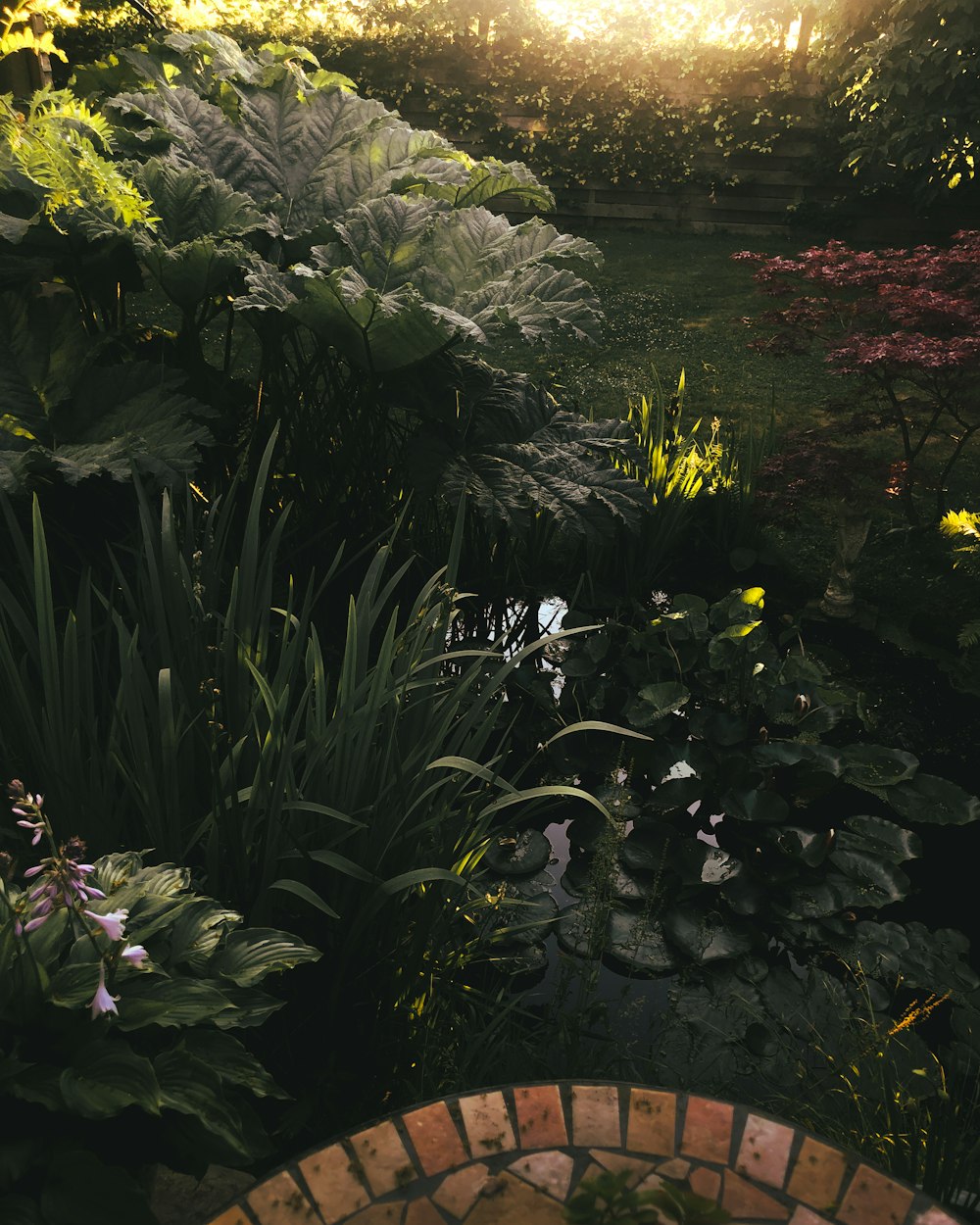 a garden filled with lots of plants and flowers