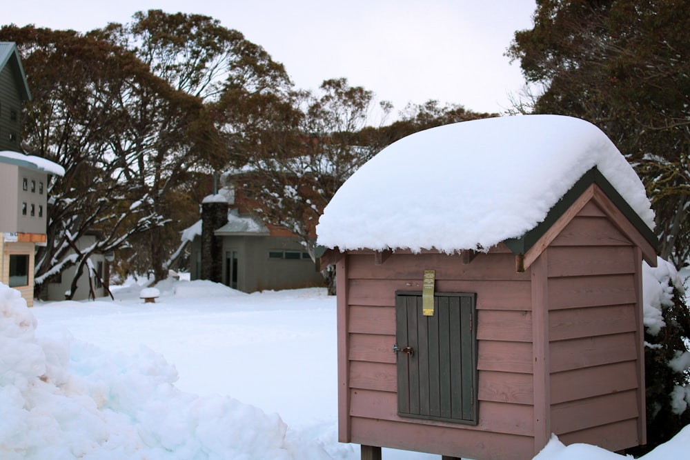 a snow covered yard with a shed and trees in the background