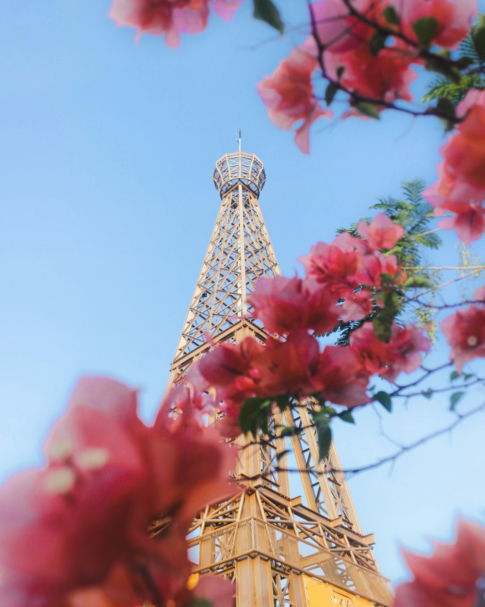 the eiffel tower is surrounded by pink flowers